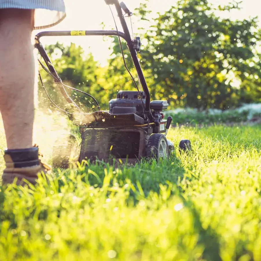 Low-angle view of a mower cutting a sunlit green lawn