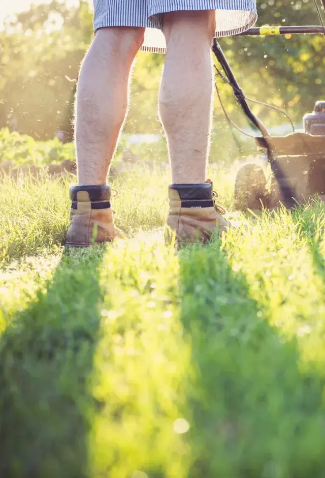 Push mower moving across a sunlit green lawn