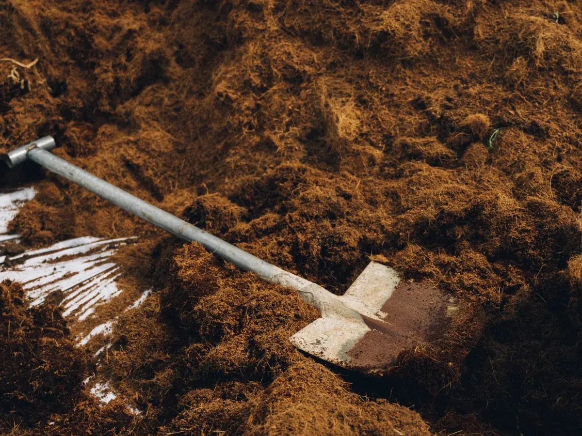 Garden shovel set in loose soil ready for planting